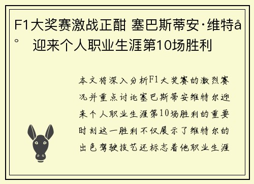 F1大奖赛激战正酣 塞巴斯蒂安·维特尔迎来个人职业生涯第10场胜利